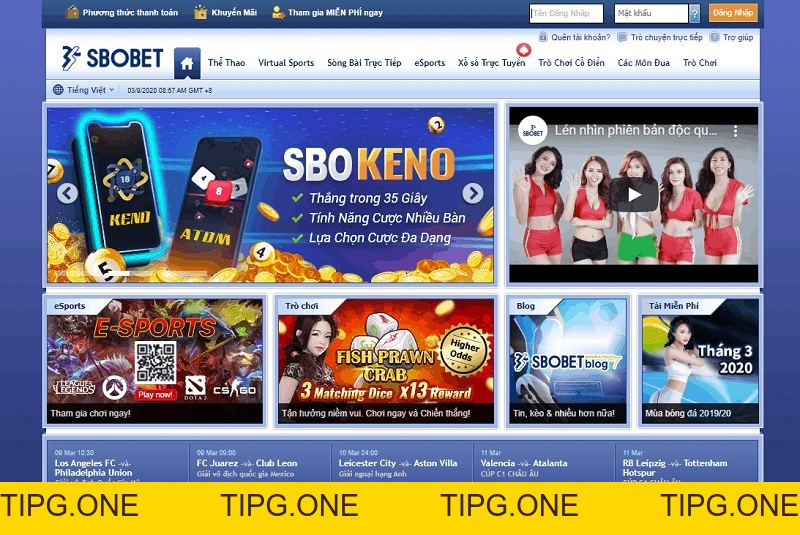 Giới thiệu về nhà cái Sbobet - Link mới nhất không bị chặn