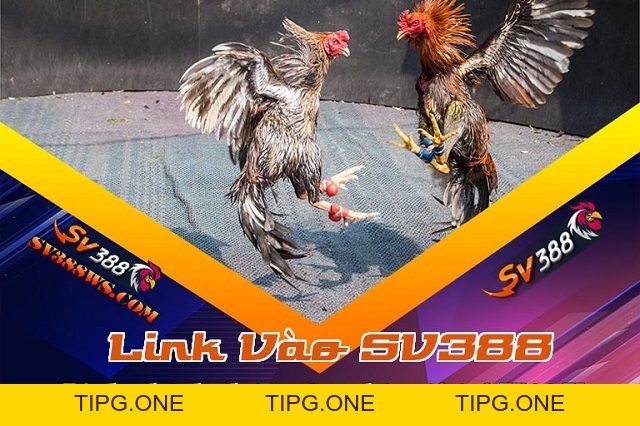 Giới thiệu Sbobet - Sbobet